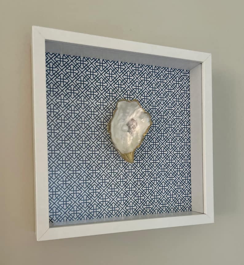 Pearl Oyster Shell Shadow Box Etsy