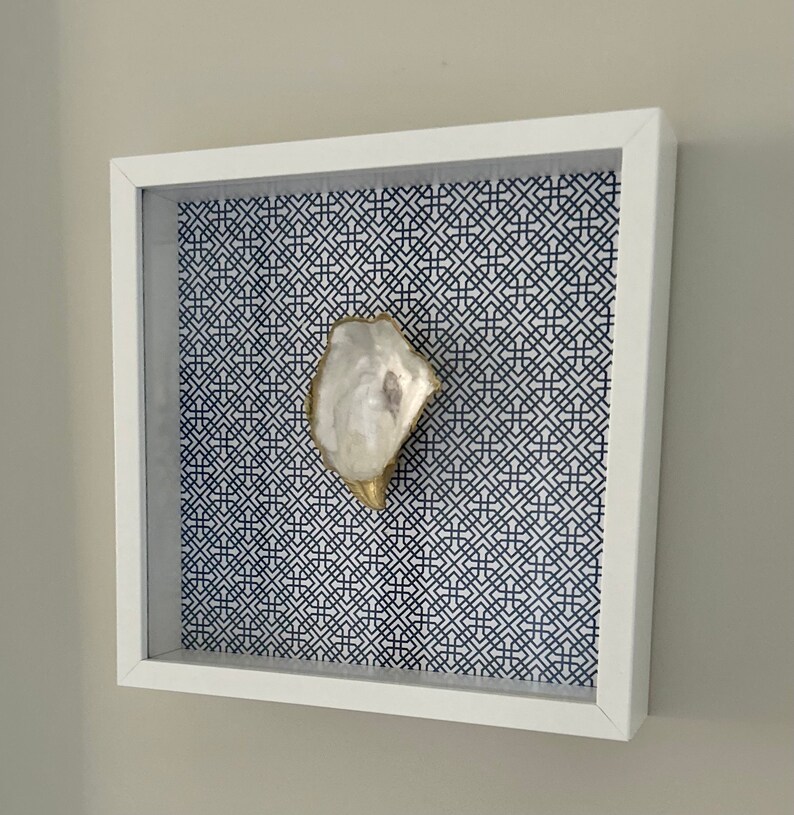 Pearl Oyster Shell Shadow Box Etsy