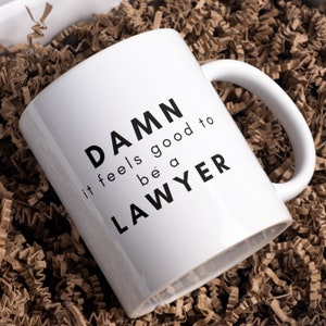 Damn it Feels Good to be a Lawyer Mug, Lawyer Mug, Gift for Lawyer, Funny Lawyer Mug, Funny Lawyer Gift, Future Lawyer Gift