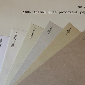 6 different pieces of paper, each showing the different colors of pages that are available.  White is white.  Fleece white is an off white.  Natural is a light yellow.  Storm is a light grey.  Aged is a light golden brown.  Camel is a dark brown.