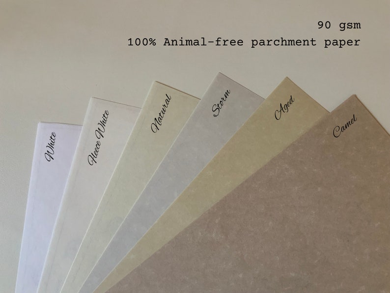 6 different pieces of paper, each showing the different colors of pages that are available.  White is white.  Fleece white is an off white.  Natural is a light yellow.  Storm is a light grey.  Aged is a light golden brown.  Camel is a dark brown.