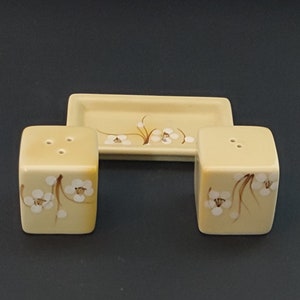 Könnte beinhalten: Ein Set aus zwei Salz- und Pfefferstreuern aus Keramik mit einem passenden Tablett. Die Streuer sind cremefarben mit einem floralen Design in Braun und Weiß. Das Tablett ist ebenfalls cremefarben mit einem floralen Design.