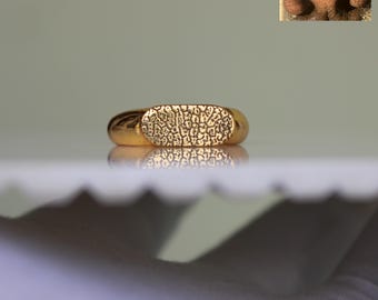 Aangepaste zegelring met hondenneusafdruk, sterlingzilver huisdiermonument