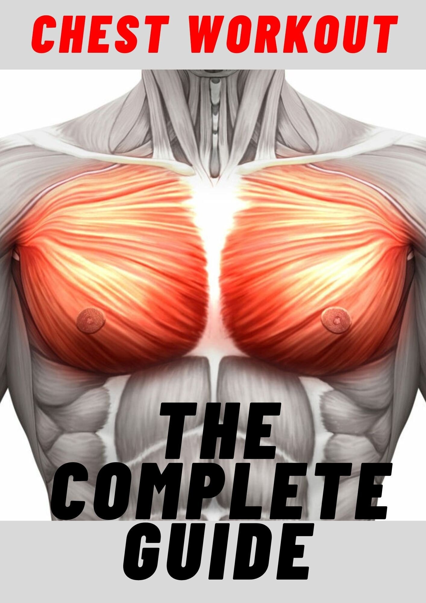 A Complete Manual for Chest Workouts - Fit N' Dine