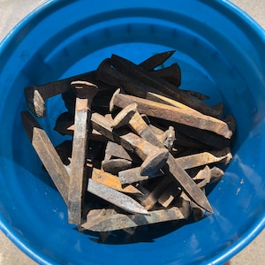 May include: A blue plastic bucket filled with a large pile of rusty metal railroad spikes.
