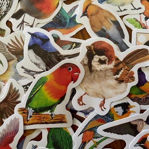 45 鳥ステッカー、ギフト、アート、鳥好き、先生、ご褒美ステッカー、ステッカーパック、ジャンクジャーナルビニール、防水、ウォーターボトルステッカー、Bojo