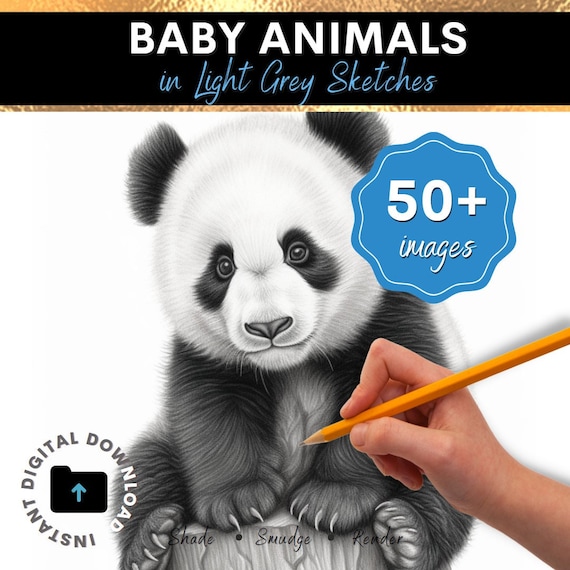 Realistic Drawings Of Baby Animals