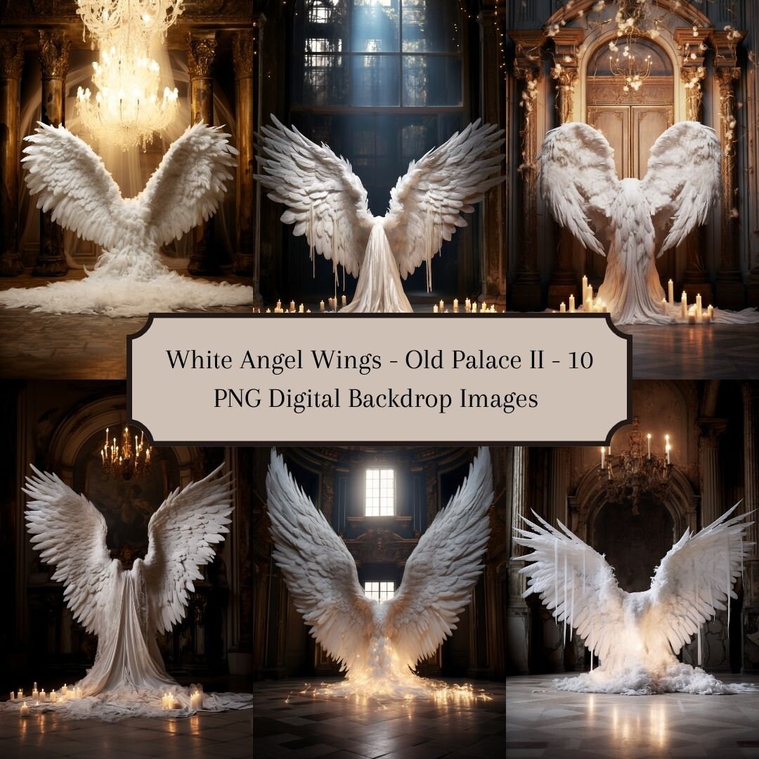 Digital Backdrops of Big White Angel Wings Inside of an Old Palace for ...