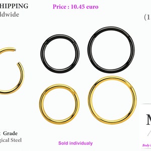 16g, Clicker, seamless, segment body piercing jewelry, good for earring, daith, rook, tragus, helix, nose, lope, septum ring, jewelry, 1,2mm