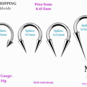 Septum, ronde hoefijzerhalter met zeer lange stekels.16g & 14g, 1,6 mm, 1,2 mm.spikes, schelp, toren, anti-helix, helix, oor, neus