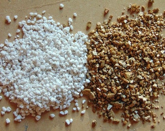 Vermiculita vs. Perlita: ¿Cuál es mejor para tus plantas en maceta? ¿Cómo y por qué usarlas? Diferencias entre perlita y vermiculita