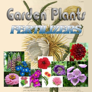 Peut inclure: Une illustration botanique présentant diverses plantes et fleurs de jardin, notamment des dahlias rouges, des digitales violettes et une grande fleur blanche et jaune. Les mots "Garden Plants" et "FERTILIZERS" sont affichés.