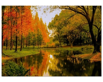 Natures Beauty - Museum-Quality Matte Paper Poster