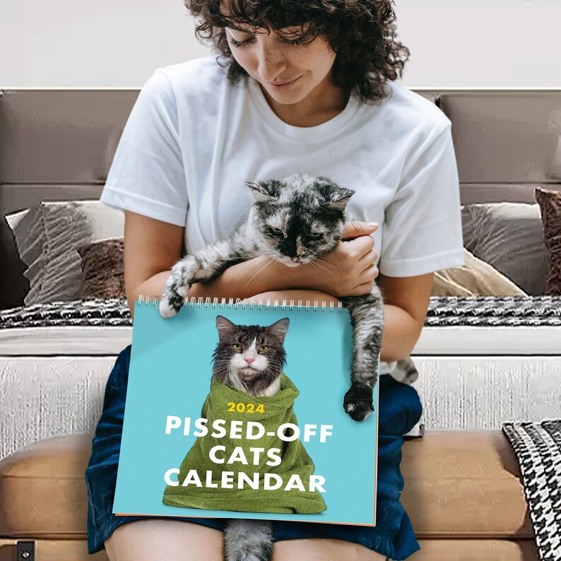 2024 Pissedoff Cats Calendar 28.528.5cm Creative and Funny Etsy