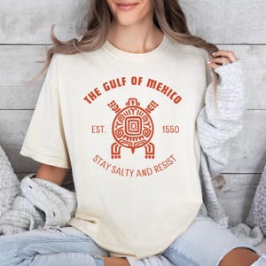 Stay Salty Gulf Of Mexico, Anti Trump Gulf Of Mexico Shirt, Stay Salty Shirt, Democrat Gift Tee,Gulf Coast Shirt,Subtle Political Shirt, FDT