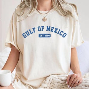 Stay Salty Gulf Of Mexico, Anti Trump Gulf Of Mexico Shirt, Stay Salty Shirt, Democrat Gift Tee,Gulf Coast Shirt,Subtle Political Shirt,gulf