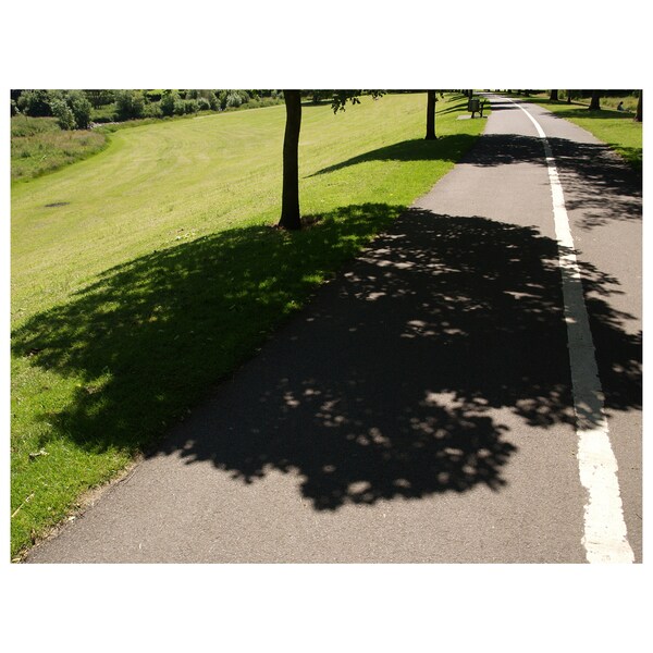 notan colour - Photography print - Framed poster - tree lined path - shadow pattern - bicycle lane - make your room pop with original art