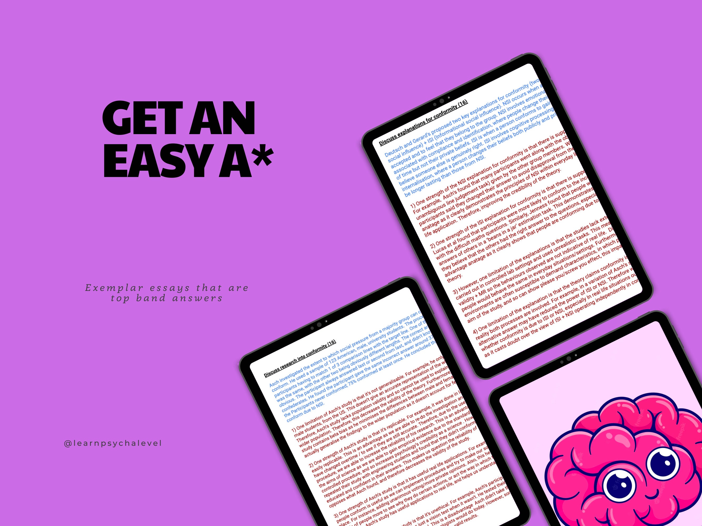 AQA A Level Psychology Detailed Essay Plans - Biopsychology (A*) - Etsy