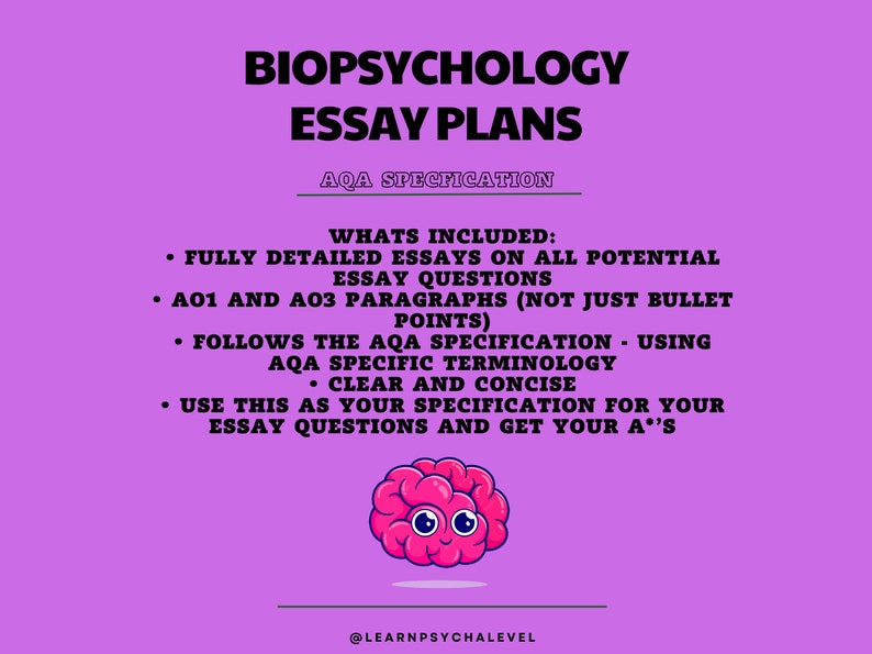AQA A Level Psychology Detailed Essay Plans - Biopsychology (A*) - Etsy