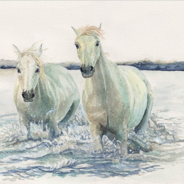Dessin aquarelle imprimé cheval camarguais