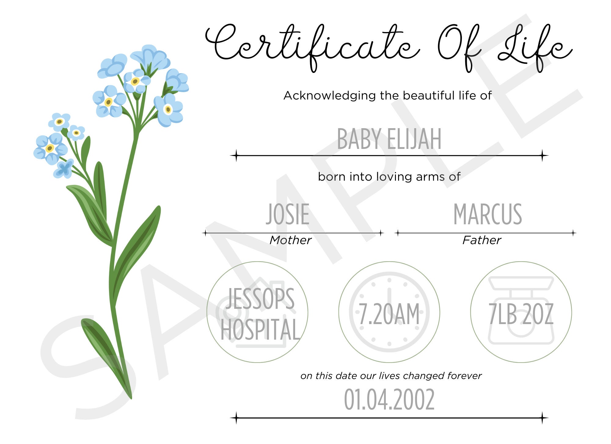 Baby Loss Digital Print Certificate of Life Instant Download Blank ...