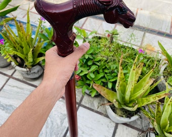 Horse Head Hand-Carved Walking Cane – Unique Designer Wooden Stick