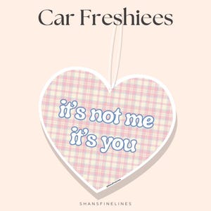 It&#39;s Not Me, It&#39;s You Car Air Freshener | Custom Air Freshener | Scented Freshiee | Custom Car Freshener | Meme