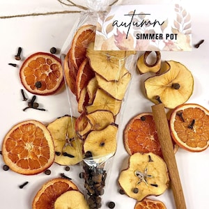 May include: A clear plastic cone-shaped bag filled with dried apple slices, orange slices, and whole spices, tied with twine and a tag labeled autumn SIMMER POT. Loose dried orange slices, apple slices, cinnamon sticks, and cloves surround the bag.