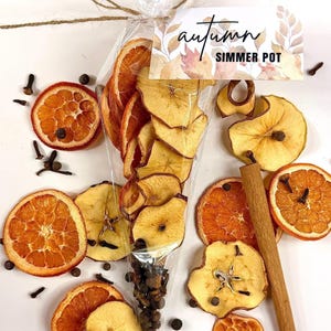 May include: A clear cone-shaped plastic bag filled with dried apple slices and whole spices, tied with twine and a tag labeled "autumn SIMMER POT". Surrounding the bag are loose dried orange slices, apple slices, cinnamon sticks, and cloves.