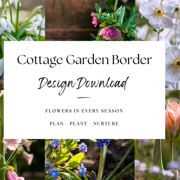 Gartenbordüre Gestaltungsplan für einen englischen Cottage Garten