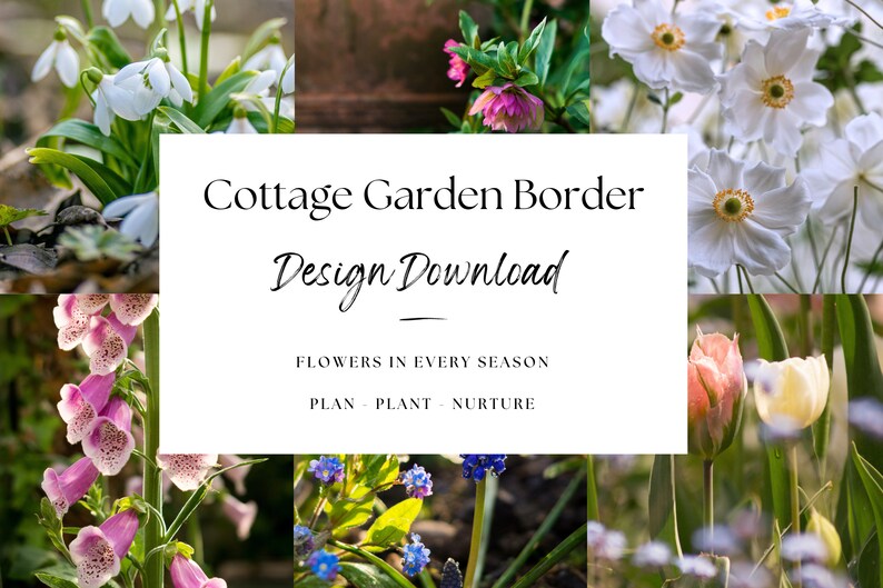 Garden Border Design Plan for an English Cottage Garden Etsy