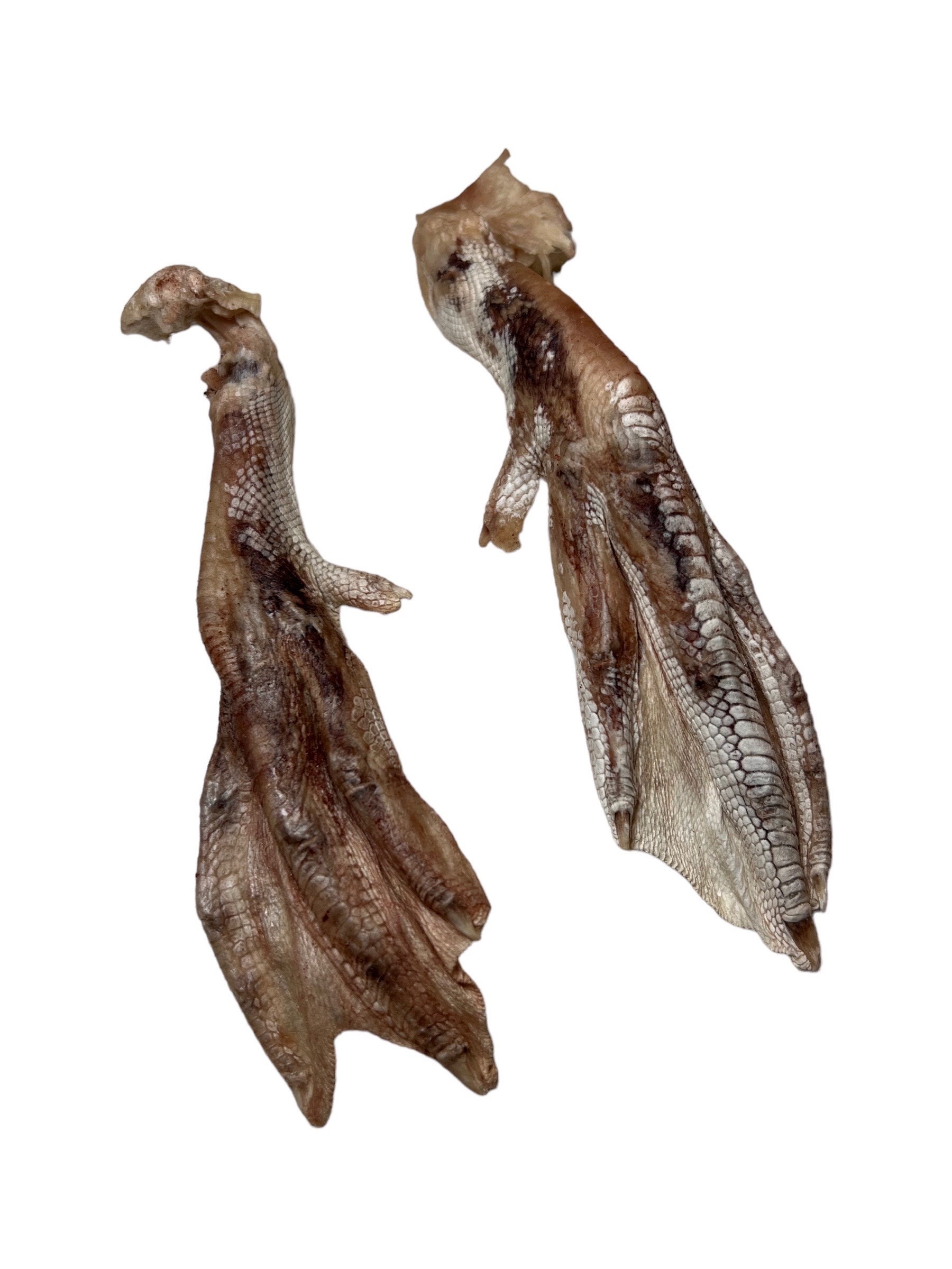 Freeze Dried Duck Feet for Dogs and Cats Single Ingredient 100 Whole Duck Feet Duck Feet Pet