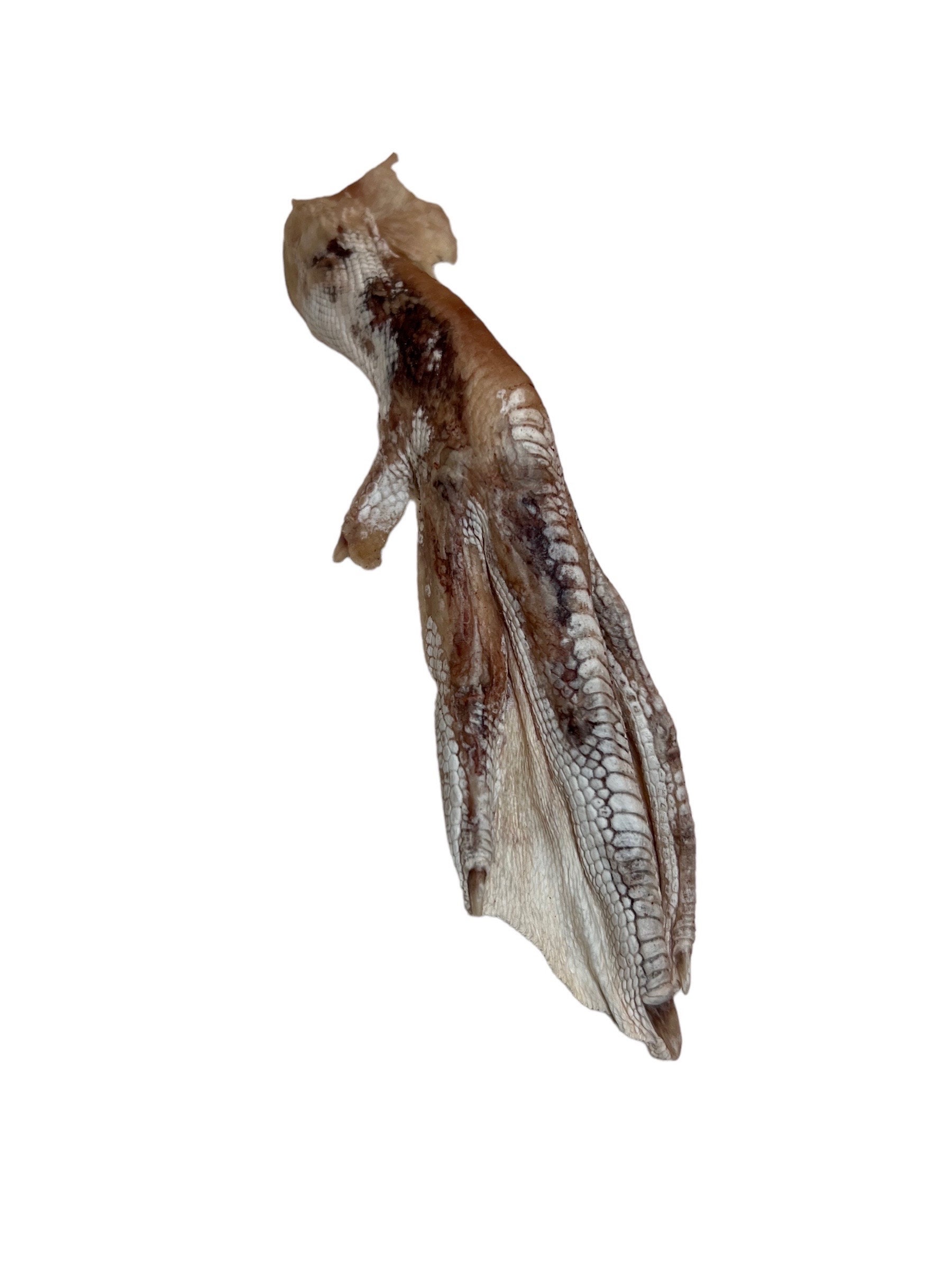 Freeze Dried Duck Feet for Dogs and Cats Single Ingredient 100 Whole Duck Feet Duck Feet Pet