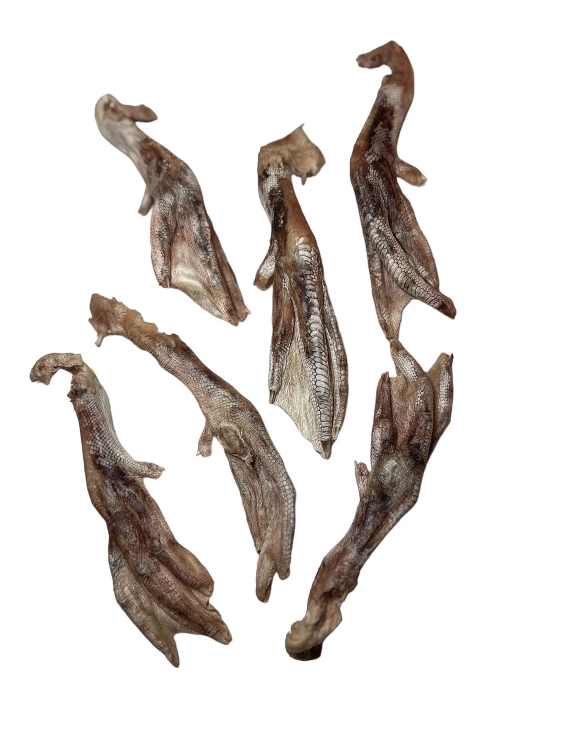 Freeze Dried Duck Feet for Dogs and Cats Single Ingredient 100 Whole