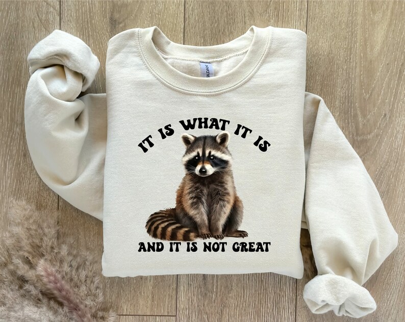 It is What It is Sweatshirt, Funny Quotes Hoodie, Funny Sweatshirt ...