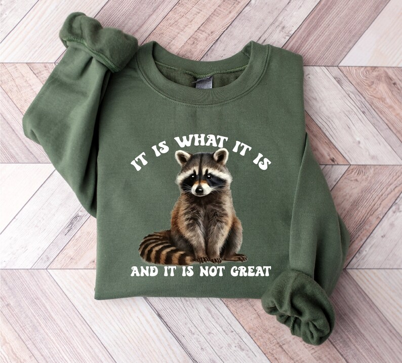 It is What It is Sweatshirt, Funny Quotes Hoodie, Funny Sweatshirt ...