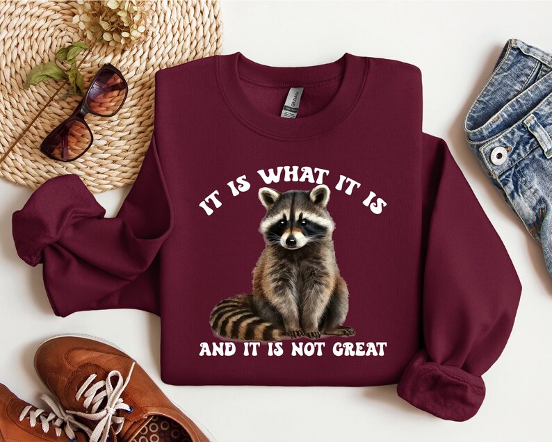 It is What It is Sweatshirt, Funny Quotes Hoodie, Funny Sweatshirt ...