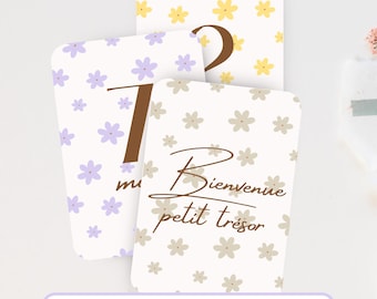 Baby Monthly Milestone Cards - Baby's First Year