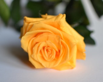 Rosa eterna amarilla, rosa preservada perfecta para regalo de San Valentín y día de la madre