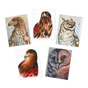 Ensemble de 5 cartes de voeux, oiseaux de proie, buse à queue rousse, chouette effraie des clochers, éperviers Harris, hibou grand duc, papeterie, cartes vierges, nature