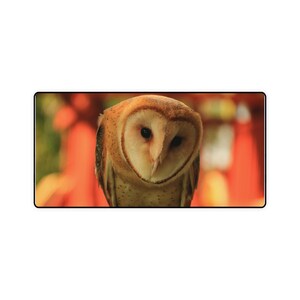 Desk Mats
