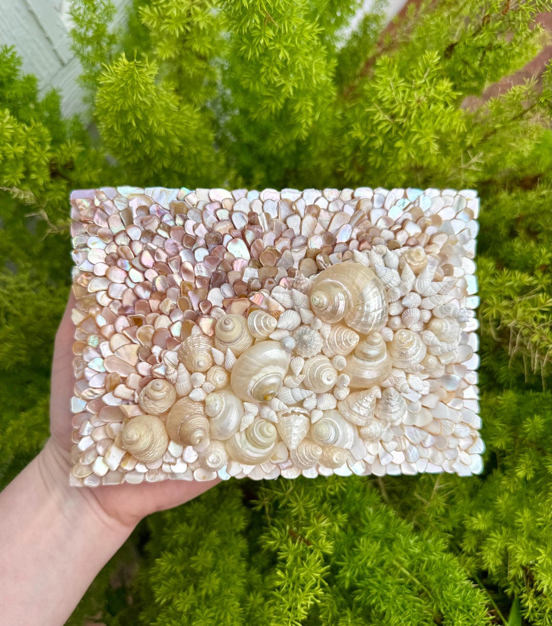 Handmade Seashell Mosaic Wall Art | Coastal Beach House Decor | Natural ...