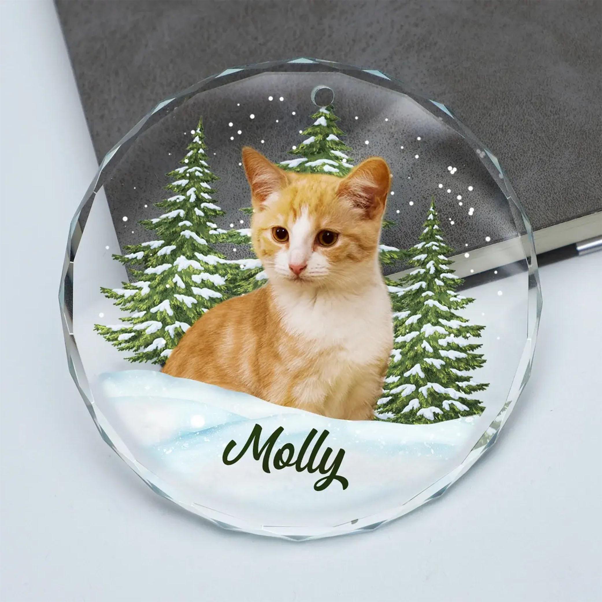 Custom Photo Pet Face, Christmas Gift For Dog Lovers, Cat Lovers