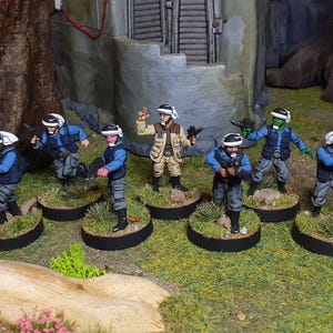 Rebellflottans soldater - Star Wars Legion *Professionellt målad*