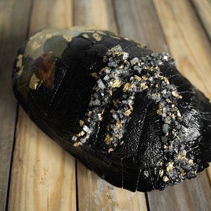 Turtle Shell with Crystals