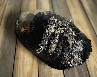 Turtle Shell with Crystals