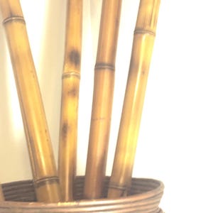Flame Cured Bamboo Poles (2&quot; Diameter) Bundle of 4