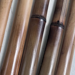 Shibari Bamboo Poles Fire Cured 3”  diam. Craft Bamboo DIY and Rustic Decor Sustainable Bamboo for Home & Outdoors