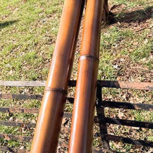 Set of Two Bamboo Poles 1.5” Diameter Fired Cured and Cut to Length.