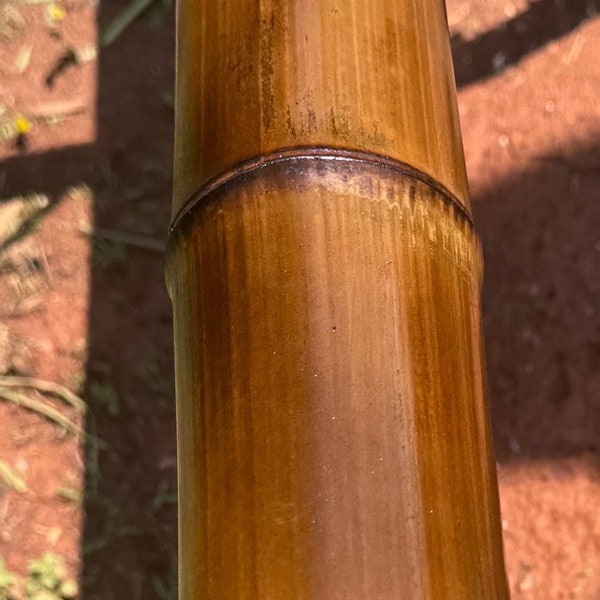 Huge Bamboo Poles 4.5”  Diameter. Available in lengths of one, three and six feet.